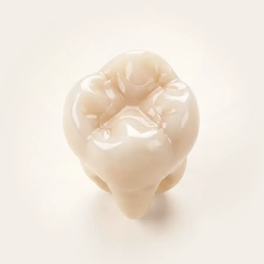 Endodontia (ilustração)
