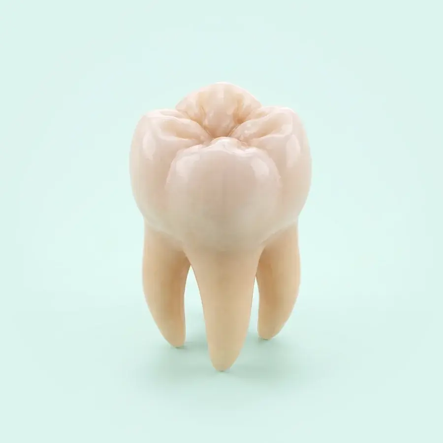Cirurgia bucomaxilofacial (ilustração)